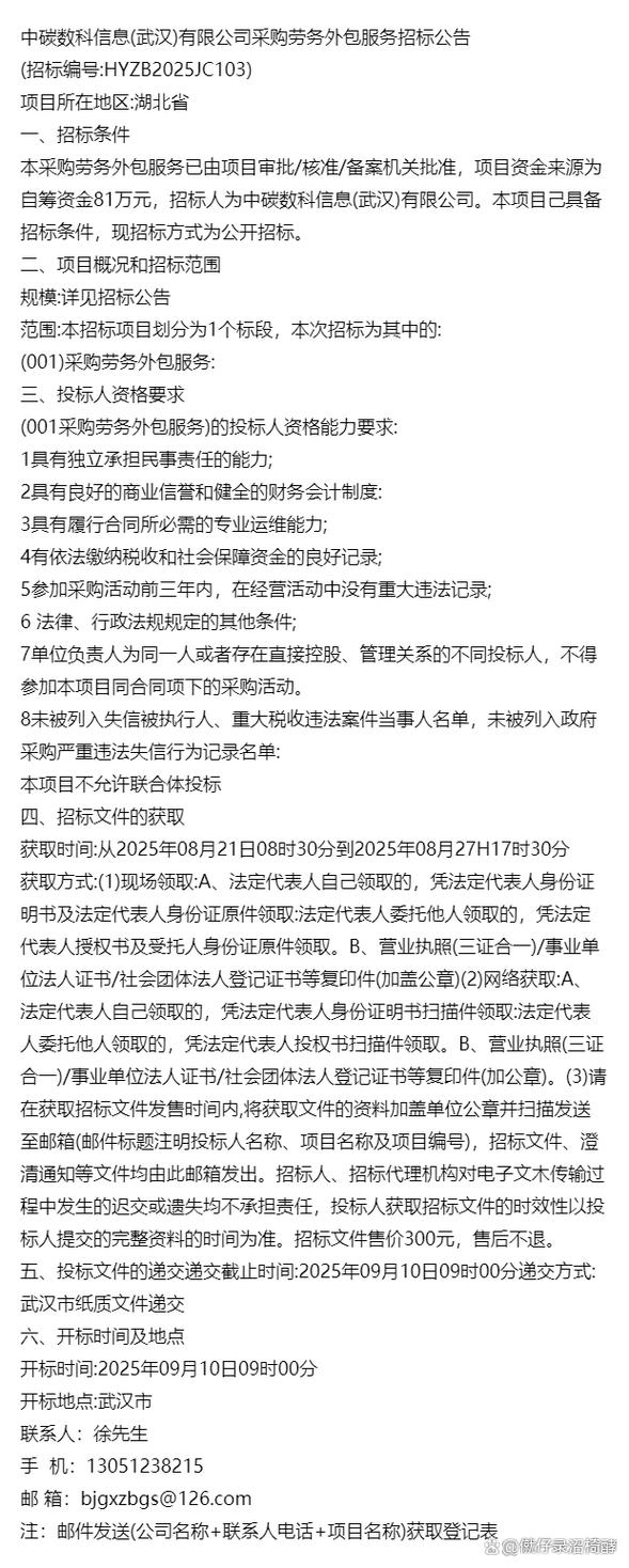 关于采购软件劳务外包服务的招标公告